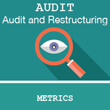 ARCAD Audit