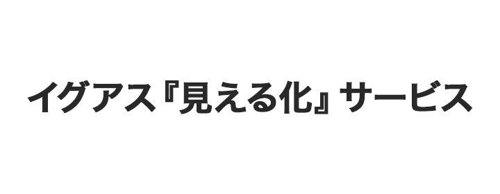 イグアス『見える化』サービス